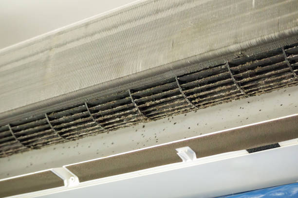 Best Commercial HVAC Duct Cleaning  in Cuthbert, GA