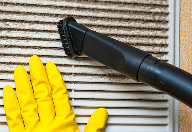 Best Dryer Vent Cleaning Services  in Cuthbert, GA